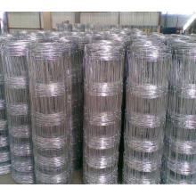 Galvanized Grassland /Field Cattle/Sheep Square Wire Mesh Fence